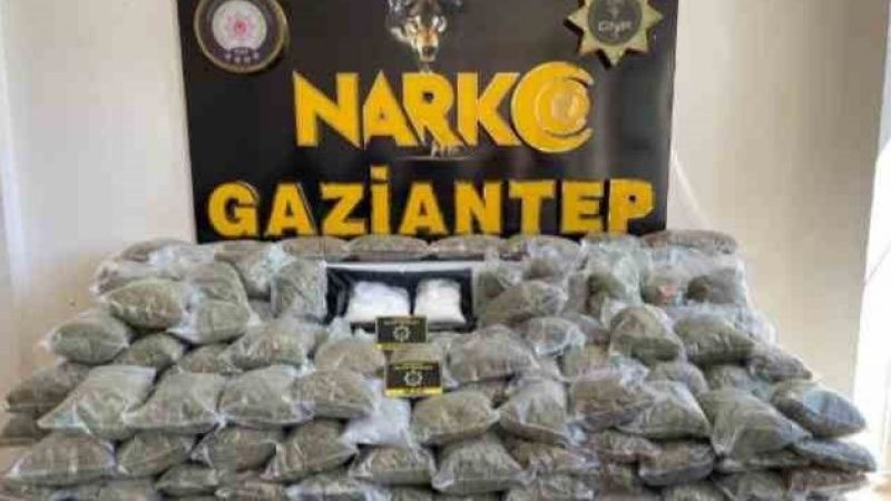 80 kilo skunk ele geçirildi