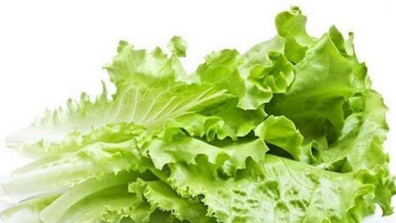 Haziran ayında en çok kıvırcık salata pahalandı
