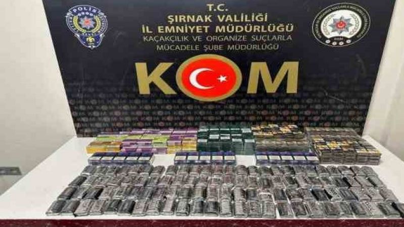 Asayiş ve kaçakçılık operasyonu: 33 gözaltı