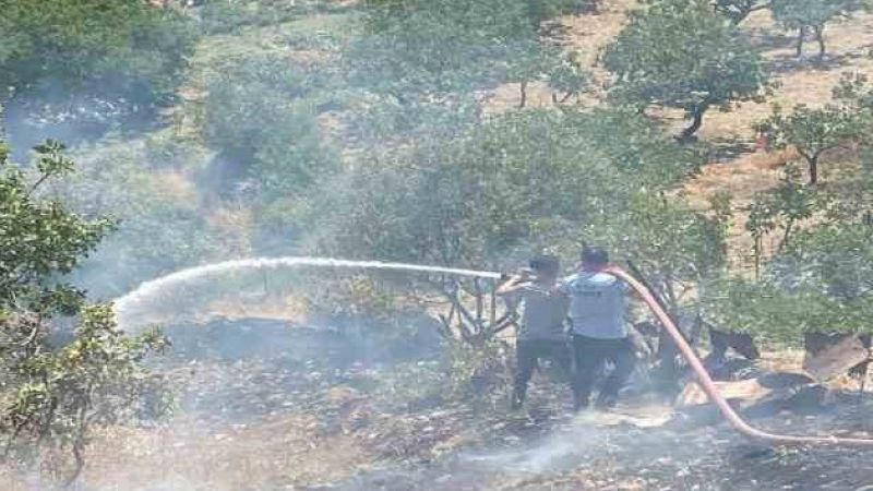 Fıstık bahçesinde çıkan yangın söndürüldü