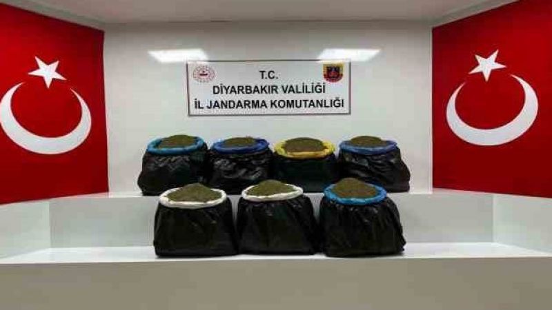 Ağaçlık alanda 100 kilo esrar bulundu