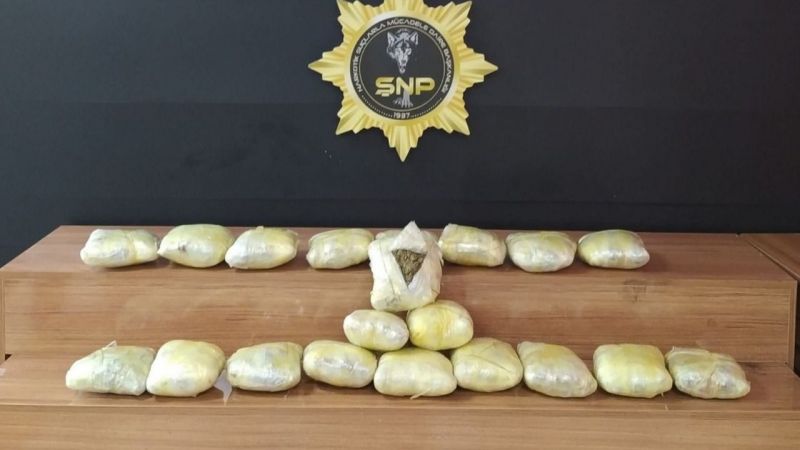 Urfa’da 12 kilo skunk ele geçirildi