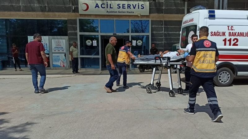 Urfa'da otomobil pamuk tarlasına devrildi