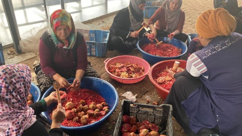 Narın ekşiye dönüşme serüveni başladı