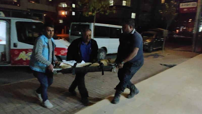 Urfa’da hayvan dostlarından örnek davranış