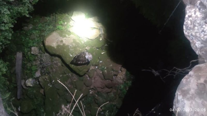 Kuyuya düşen yavru kartal itfaiye ekiplerince kurtarıldı