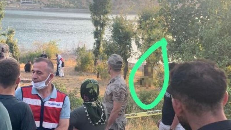Ağaca asılı ceset bulundu