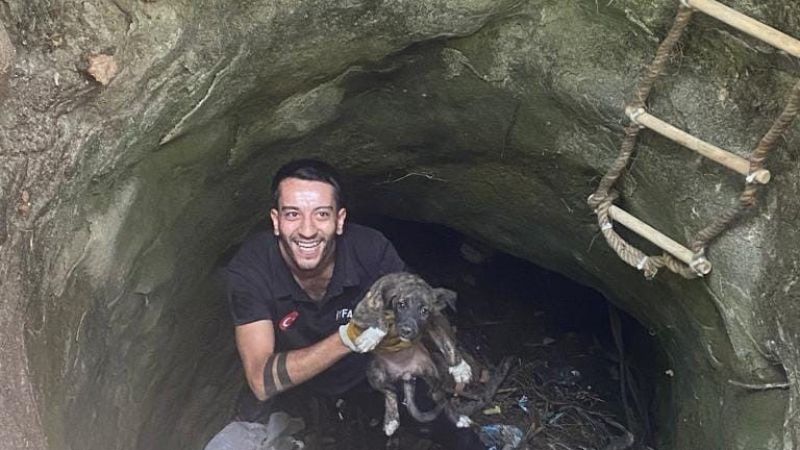 Kuyuya düşen köpeği itfaiye ekibi kurtardı