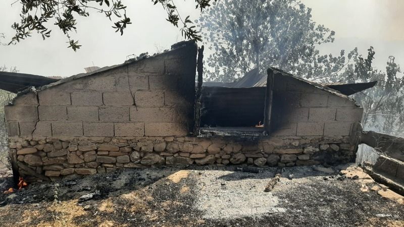 Orman yangını: 3 ev kullanılamaz hale geldi
