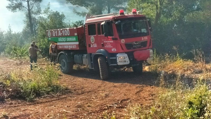 Anız yangını ormana sıçradı