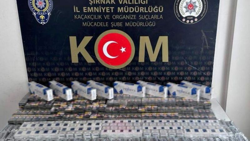 Asayiş ve kaçakçılık operasyonu: 51 gözaltı