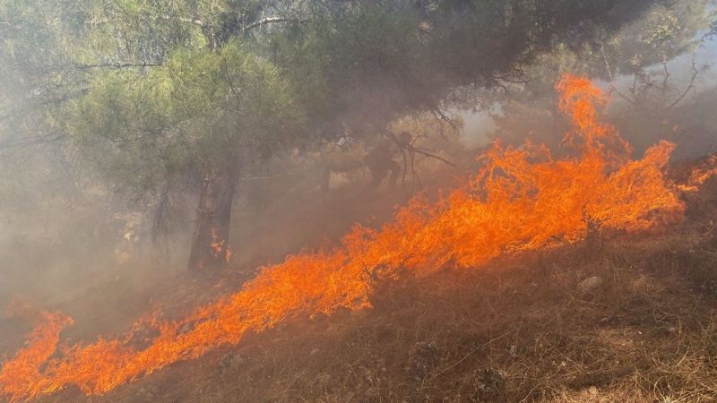 Ormana sıçrayan yangın 3 saatte kontrol altına alındı