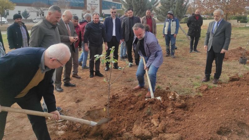 HRÜ'den 'Meyvecilik' hamlesi