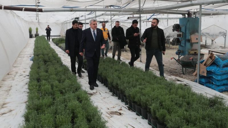 Yemyeşil Urfa için çalışmalar devam ediyor