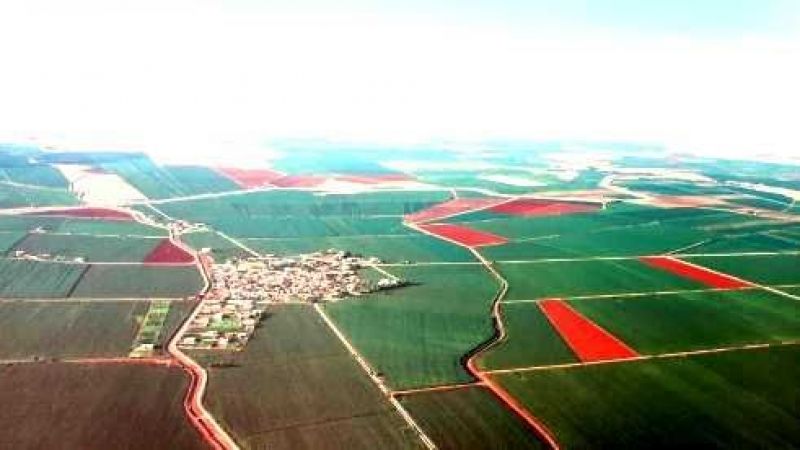 Harran Ovası’nda 100 bin dekar tarım alanı betonlaştı