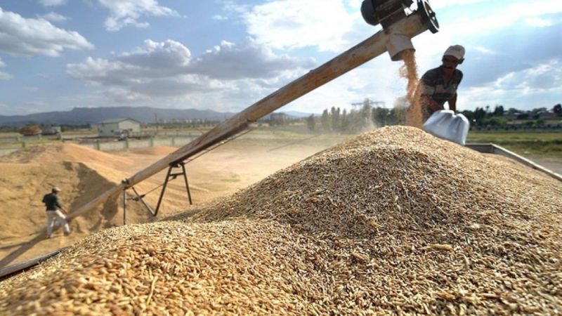 Urfa'da TMO'nun alım yapacağı adres belli oldu