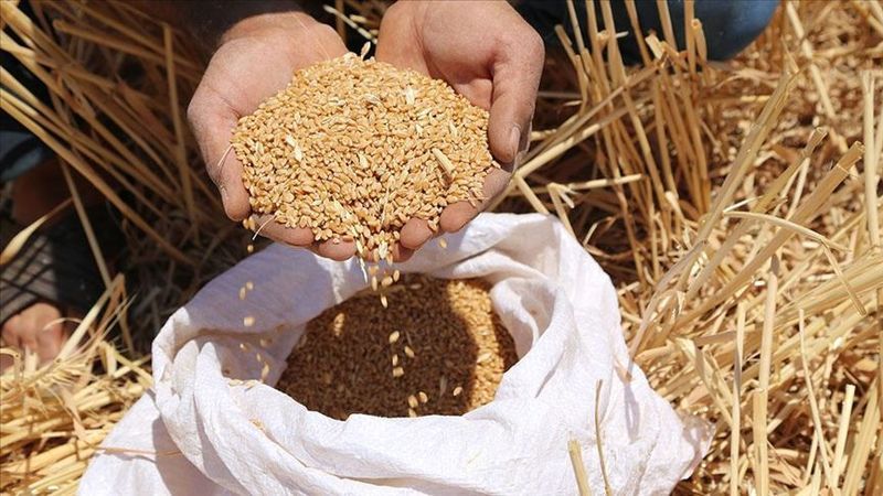 Urfa çiftçisi değil, stokçu kazanacak