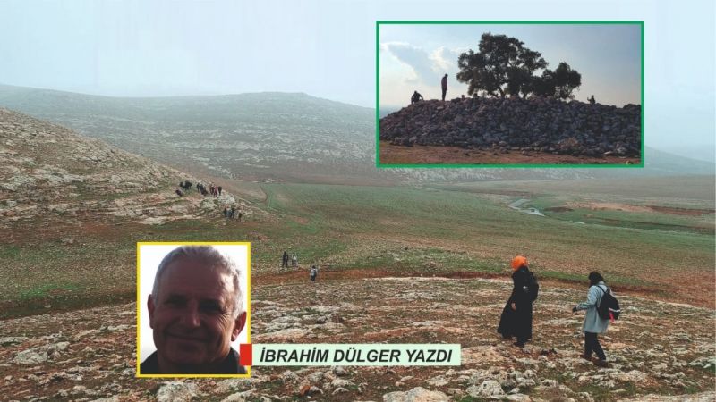 Urfalı eğitimci, Cudi Antik Kenti ve Anıt Zeytin ağacını izlenimlerini kaleme aldı