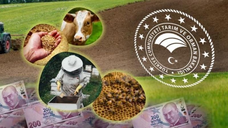 Urfalı çiftçilere destekleme müjdesi! Ödemeler başladı