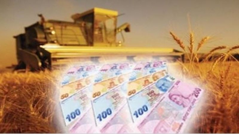 Urfalı çiftçilere müjde! 96 milyon 411 bin lira