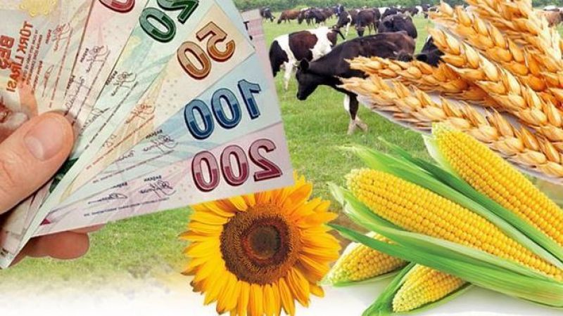 Bakanlıktan çiftçilere destekleme müjdesi