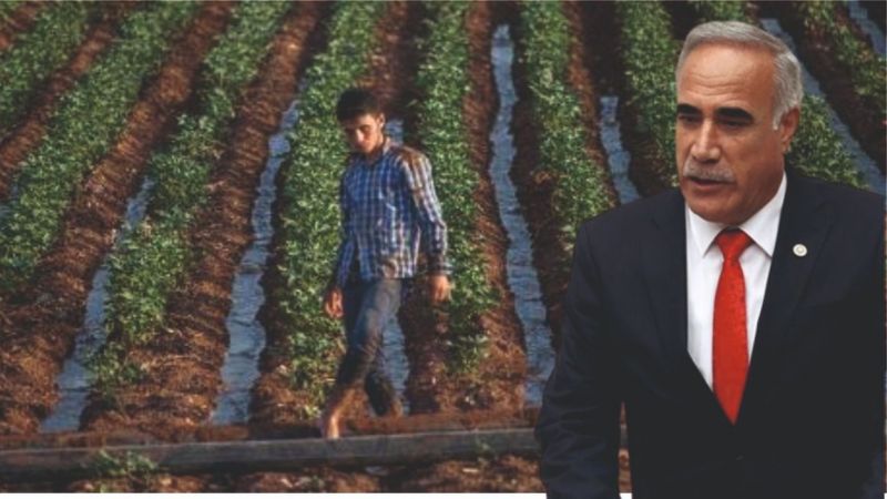 'Çiftçi desteklemesine bloke konulmamalı'
