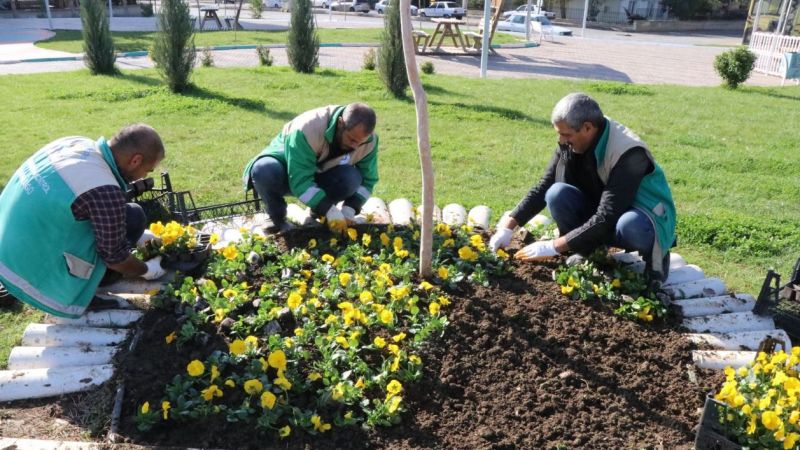 Haliliye’de parklar yeşilleniyor