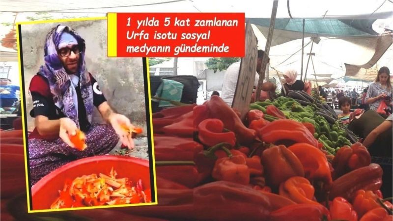Urfalıların vazgeçilmezi artık zengin işi!