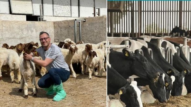 HRÜ’de hayvancılığa katkı sunacak proje geliştirildi