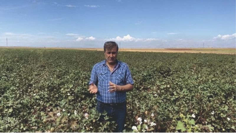 'Pamuk ithalatına sınırlama getirilmesini istiyoruz'