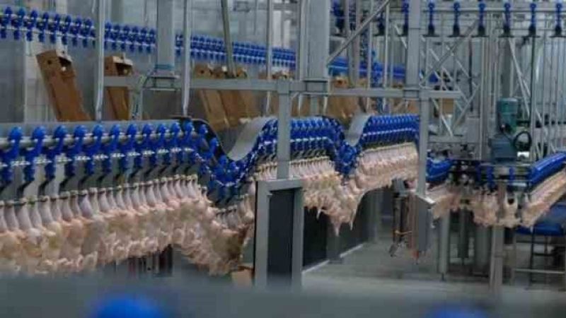 Perakende satış hacmi yıllık yüzde 28,4 arttı