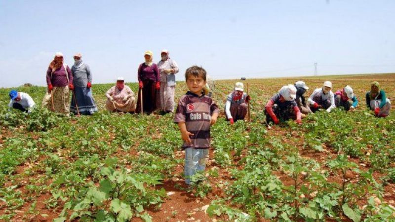 Tarım girdilerinde rekor artış