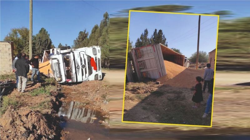 Tanal isyan etti! "Kurumlar, görevlerini yerine getirmiyor"