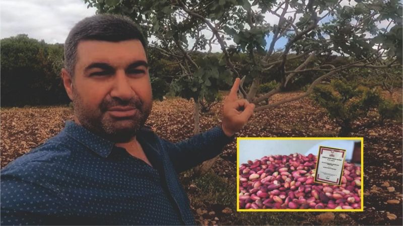 Yağışlar 'Keten Köyneği'ni de vurdu