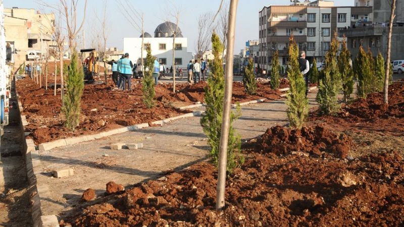Kito Deresi’nde ağaçlandırma çalışmaları başladı