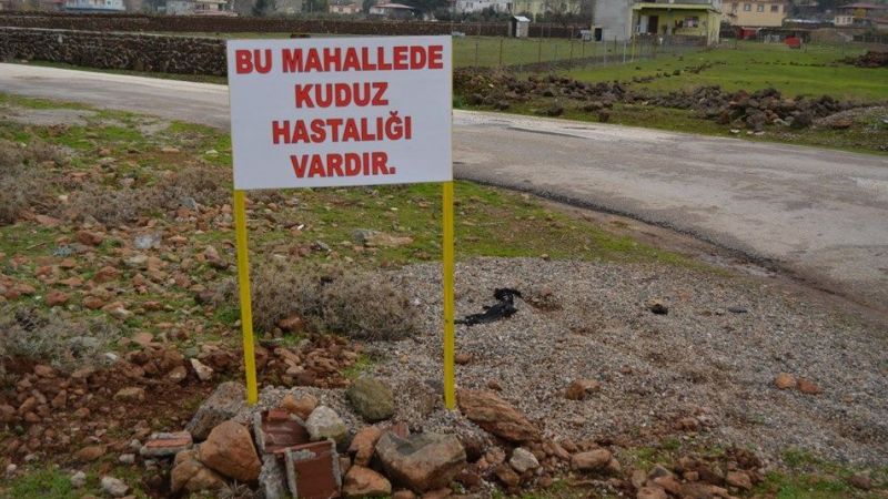 Urfa'da kuduz karantinası