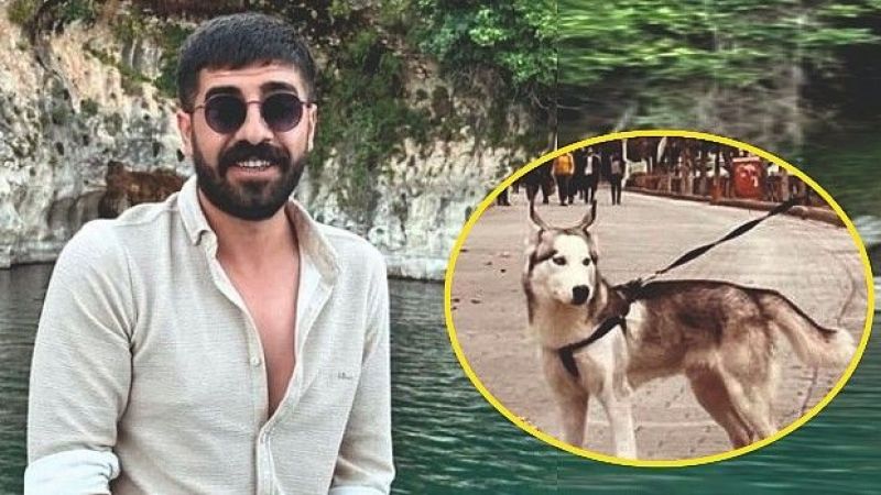 Kuduzdan ölen mimar, 4 aşısını da zamanında olmuş