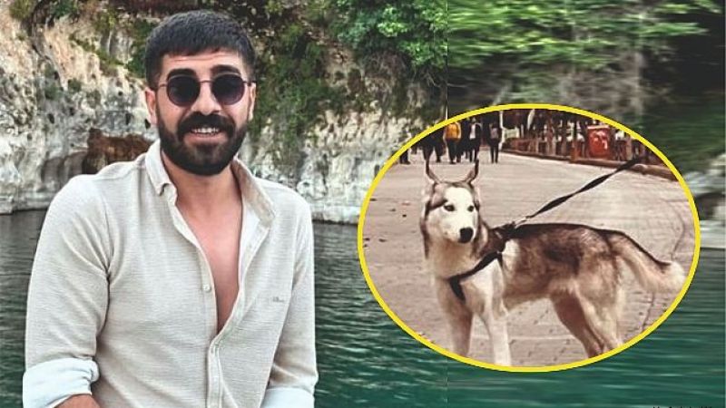 Kuduz aşısı neden etki etmedi?