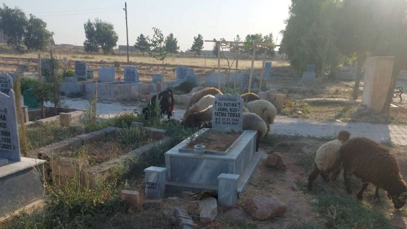 Ölülere de rahat yok!