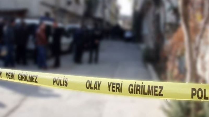 Urfa'da bir kadının feci ölümü