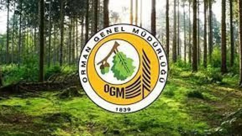 OGM 1128 personel alımı yapacak