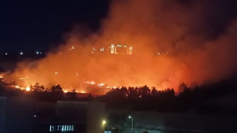 Urfa’da ormanlık alanda yangın