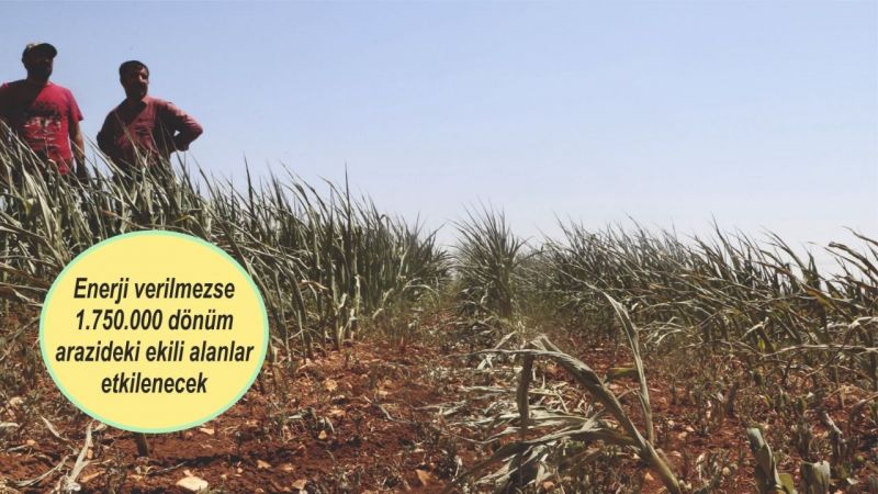 Cevheri 'den DEPSAŞ'a büyük tepki
