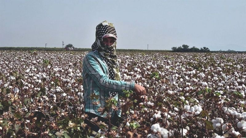 "Urfa'da çiftçi feryat ediyor"
