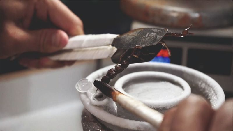 Dünyanın en pahalı sıvısı Urfa'da üretiliyor