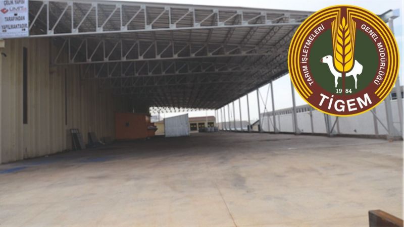 CEYLANPINAR TİM GÖKÇAYIR SIĞIRCILIK TESİSİNDE GERME BRANDADAN BUZAĞILIK SUNDURMASI YAPIM İŞİ