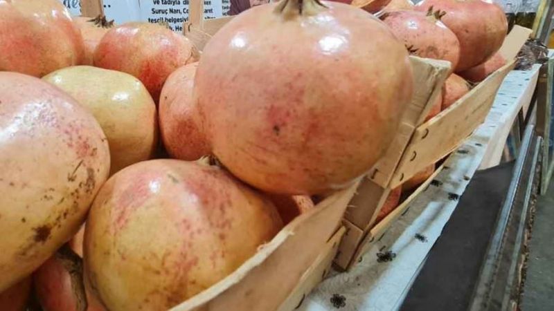 Suruç Narı ile ilgili sıcak gelişme …