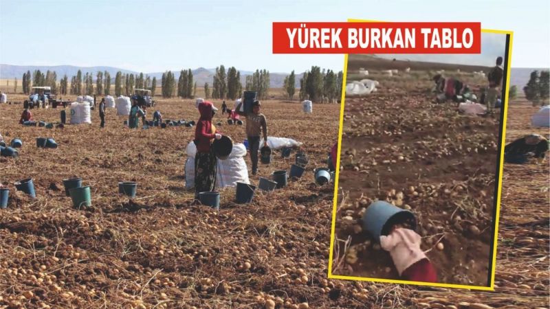 Mevsimlik rezalet devam ediyor