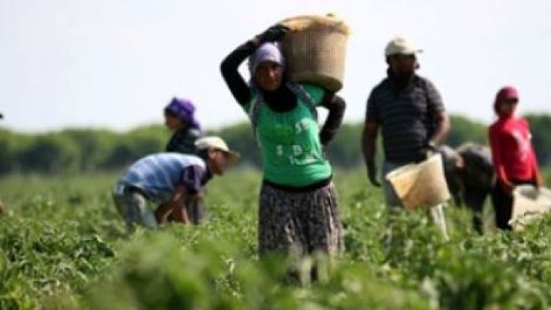 Tarım ve gıdayı bekleyen büyük tehlike