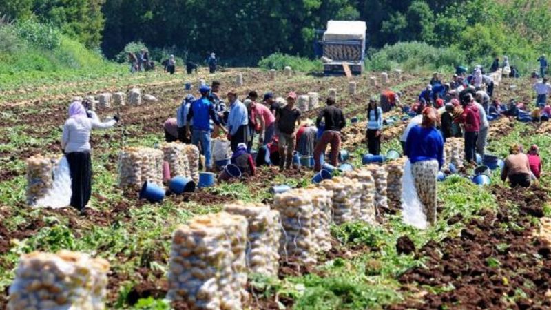 Üretici enflasyonu yüzde 71,5 oldu!
